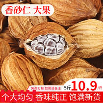  New Yunnan specialty fragrant sand kernel big fruit 500g golden sand kernel stew soup barbecue seasoning spice halogen package