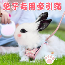 Slip Rabbit Traction Rope Anti-Escape Clothes Special God Instrumental Walk small dwarf coveted rabbit Anti-biting out bolted rope