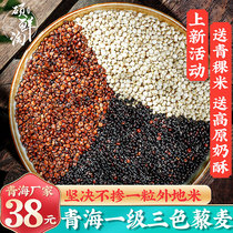 3 pounds Qinghai three-color quinoa official flagship store Quinoa brown rice First-class Limai quinoa grains ready-to-eat pregnant women