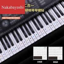 Piano keyboard sticker transparent sticker 88 key 6154 key self-study stray sticker
