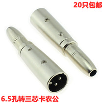 6 5mm Mother-to-Cannon Notre Dame Carnon Head Carnon Head of the microphone Notre Dame Carnon revolution 6 35 Mother