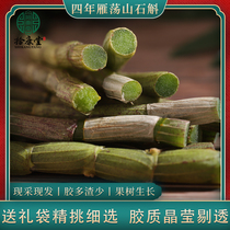 Fresh Dendrobium candidum 500g fruit trees planted in Yandang Mountain