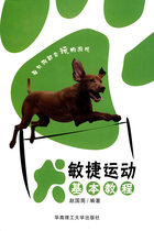 Genuine-Canine Agile Sports Basic Course Zhao Guojian Edited by 9787562332619 South China Technology Publishing