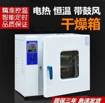 Medical equipment Electric constant temperature drying oven Electric constant temperature blast drying oven Dryer drying equipment