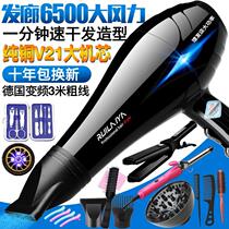 Electric hair dryer household high power 5000 hair salon dedicated 4000W above barber shop negative ion silent 3000