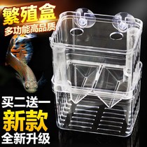Guppy breeding box Fry incubator outside the tank small fish isolation net delivery room Betta tank acrylic mother tank