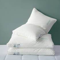 BEAUT VILLUS Plato Hotel Pillow (new)