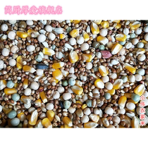 New pigeon grain 20kg corn pigeon grain nutrition feed Pigeon Pigeon Pigeon Pigeon food 19 provinces