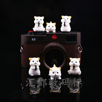Suitable for ultra cute hamster pet creative cartoon hot boots cover Canon cartoon stereo camera dust protection Gaino ConSony