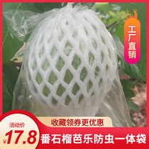 Pomegranate bagging fruit protection mesh bagging and anti-insect transparent bag Baga Pomegranate Ballerone Special Dust-Proof Bag