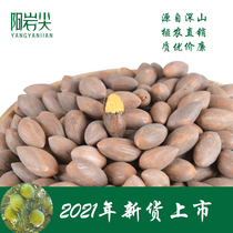 2021 New Fragrant Torreya Zhejiang Dongyang Shang Zhou Xiyuan Dongbai Mountain Boutique Fragrant Torreya Yangyan tip bag nut dried fruit