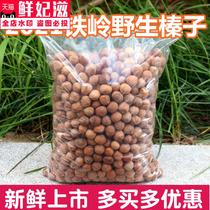 Northeast Tieling Fresh Wild Small Hazelnut 2022 Specialty Wild Mountain Raw Hazelnut Bulk Nuts Raw Hazelnut Fried