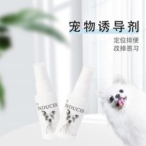 Teddy Beauté Puppy Inducing Agent Dog Defecation in Toilet Defecation Guide Training Spray Supplies