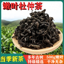 Super Zhangjiajie tender eucommia tea 500g Tongrentang Hunan eucommia tea Chinese herbal medicine pressure drop Tea