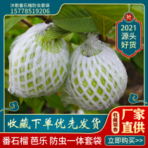 Guava bagging net bag Guava insect-proof net bag Special one-piece foam packaging bag Pomegranate bag Fruit net cover