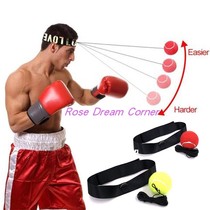 Fight Ball Lomachenko Punching Ball Boxing Equipment Traini