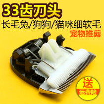Applicable Ant Pet Puppet Electric Push DDG-S01 DDG-S01 S02 S03 Pet special ceramic tool head accessory