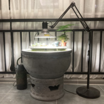  Old Beijing fish basin lamp Moss lamp Goldfish burst moss lamp Moss lamp Moss lamp Algae lamp Tile basin lamp