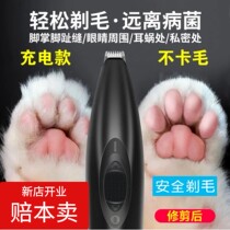 Cat foot shaving device Pet shaving device Electric fader Silent charging Teddy trimming foot artifact Electric shearing