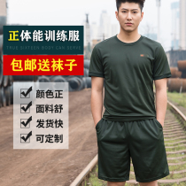 Physical clothing short sleeve suit mens T-shirt summer quick-drying shorts Wu physical training clothing breathable sports outdoor T-shirt