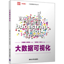  Big Data Visualization