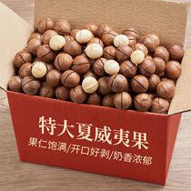 Good shop creamy Hawaiian fruit 500g bagged daily nuts roasted pregnant women dormitory snacks bulk