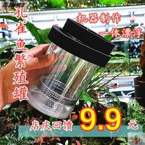 Cultured Guppy breeding box breeding tank aquarium isolation net aquarium birth box hatching hot selling fish small fish