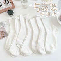 White Lace Loita Calf Socks Jk Socks Female Midbarrel Long Drum Lace Day Ensemble White Silk Stocking Half Leg Lolita