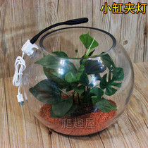 Fish tank clip light small fish tank lighting round cylinder clip light spherical cylinder landscaping light set light USB lamp