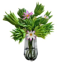 Jinhua fresh edible bergamot bergamot bergamot bergamot Citron for ornamental play little bergamot with branches