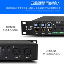 Professional double reverberation pre-stage effect KTV anti-howling reverberator Karaoke home Bluetooth coaxial front