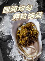 Happers rare ALMAS Caviar ready-to-eat low-salt canned fish canned 30G high-end ingredients authentic seafood sushi food