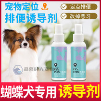 Butterfly Dog Dedicated To Dog Guide Medium Dog Puppies Training Dog-Inducing Agents Dog Bowels Puppies PINPOINT