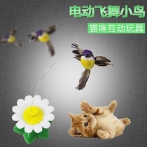 * Electric flying to tease cats and birds