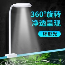 Landscape fish tank light led light Waterproof water light Diving background light Special water plant small universal aquarium color light