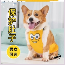 Corgi special clothes Dog belly dog stomach protection against cold Autumn and winter warm autumn and winter raincoat Pet waterproof