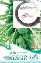 fruit seeds papaya seed e seeds 6 pcsbag original packag