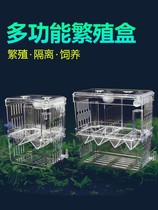 Fish tank incubator box guppies small fish box tropical fish breeding isolation box large and small fish isolators spawning