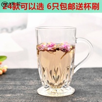 Transparent glass household 6pcs with handle flower tea cup Office heat-resistant tea cup Net red water cup explosion
