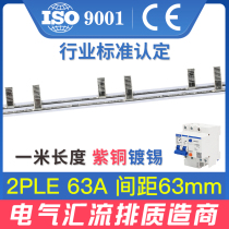 Electrical bus bar 2PLE 63A copper tin-plated leakage open wiring row dressing bar connecting copper bar