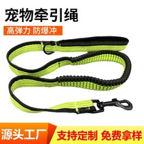 Manufacturer Supply Pets Elastic Traction Rope Dogs Running Pet Rope Spring Pet Webbing Nylon Dog Strap