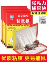 Sticky mouse board super strong big sticky mouse sticky sticky glue to catch the mouse and drive the mouse artifact home medicine mouse blanket