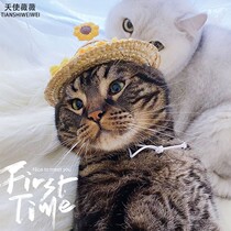 Pet summer cute knitted small straw hat Flower hat Cat dog ins wind photo props