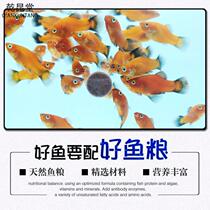 Fish tank patch fish food small tropical fish guppy fish feed goldfish light fish feed general-purpose small fish food