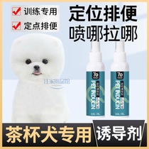 Teacup dog special dog-inducing agent bowels on the toilet guidance liquid positioning training to pee and pee dog urine