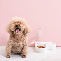 New corner dog bowl medium and small dog food bowl cat bowl automatic cat drinking water fountain pet supplies stainless steel double Bowl