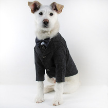 New pet method fight spring dress dog wedding dress boutique pet suit vest dress cat gentleman dress