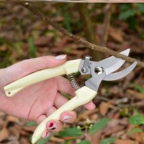Garden scissors Pruning scissors Pruning artifact scissors Pruning scissors Pruning scissors pliers Pastoral green orchard flower arrangement