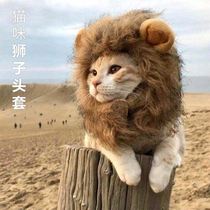 Douyin lion hat winter head cat cat ear protection cute funny pet photo props puppy dress dress dress