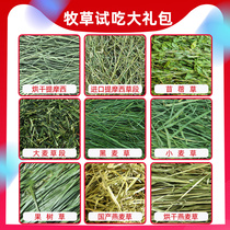Small pet forage Small specifications Try alfalfa Timothy fruit tree grass Oat grass Ryegrass 50g each forage
